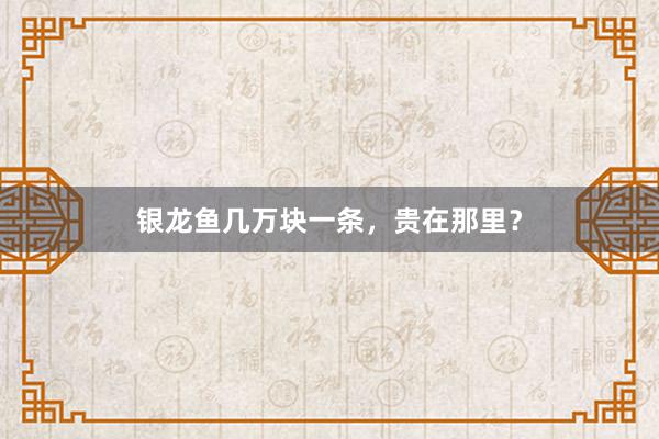 银龙鱼几万块一条,贵在那里?